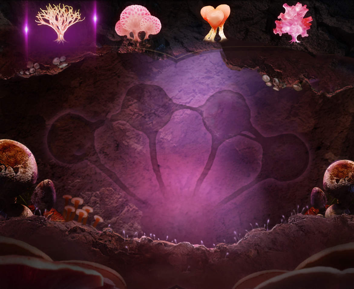 Fungi 1